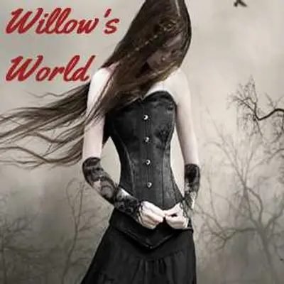 Willow's World