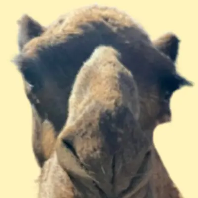 WCGB-We're Counting God's Blessings