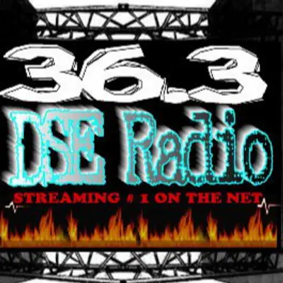 DSE Radio