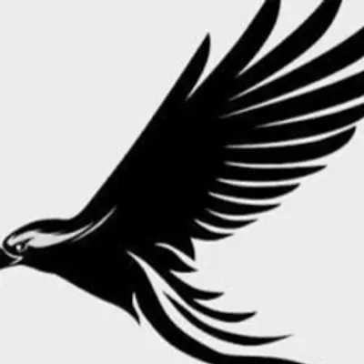 Nighthawk Radio