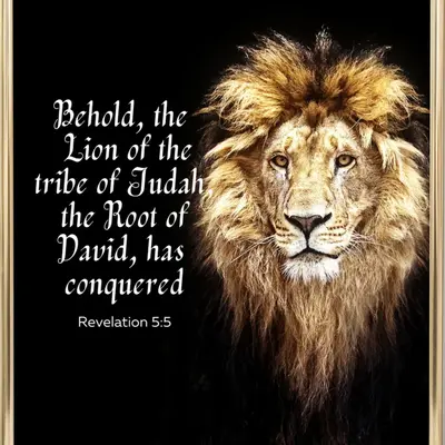 lion tribe of juda