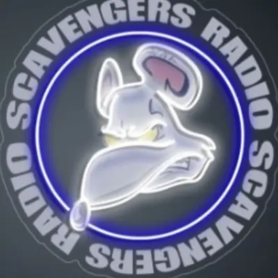 ARCHIVESCAVENGERS.COM