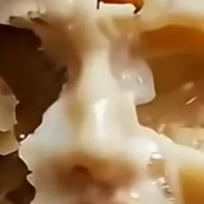 This town isn't big enough for the two of us