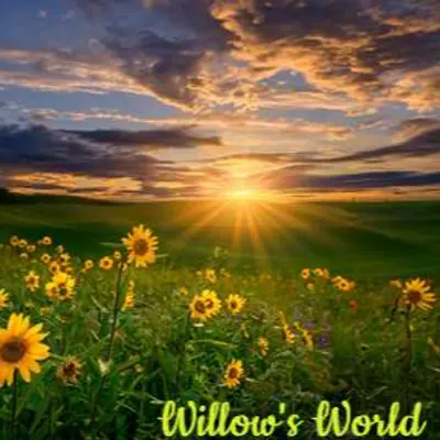 Willow's World
