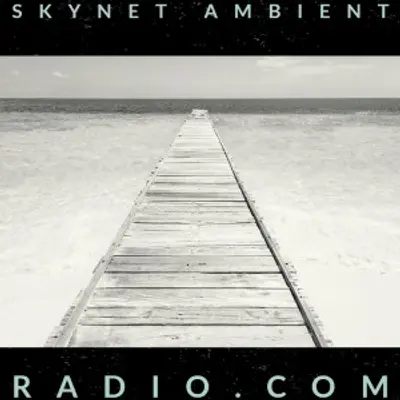 Skynet Ambient Radio