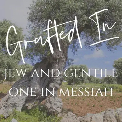 Grafted in Messiah Radio