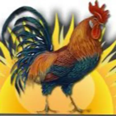 SUNRISE RADIO (Feat. Sunbeam Oldies 50's thru 70's  (Spencer)