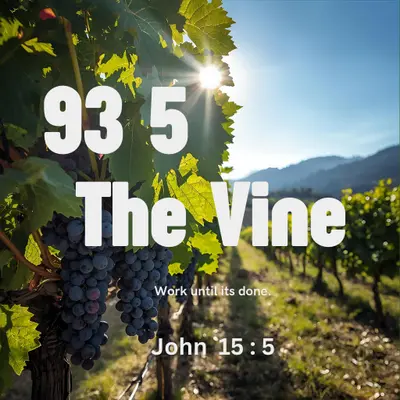 93 5 The Vine