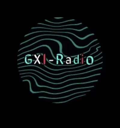 (GENERATION X INTERNET RADIO LLC)