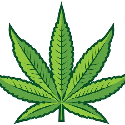 Green Flower Radio