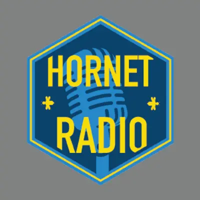 Hornet Radio