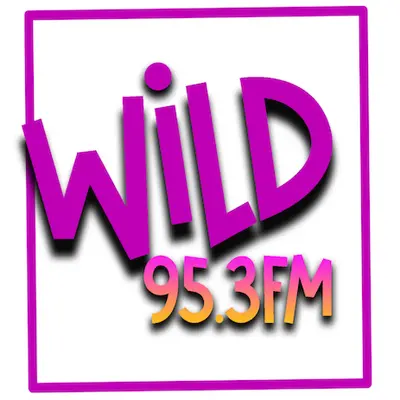 WILD 95.3 FM