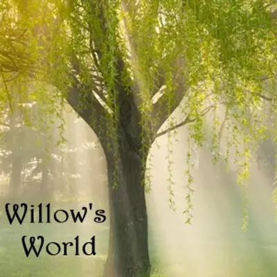 Willow's World